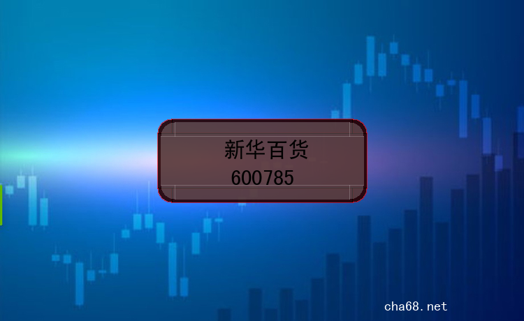 新华百货的股票代码是什么？(证券代码600785)