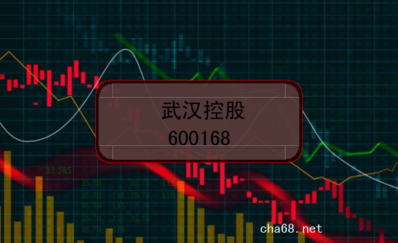 武汉控股的股票代码是什么？(证券代码600168)